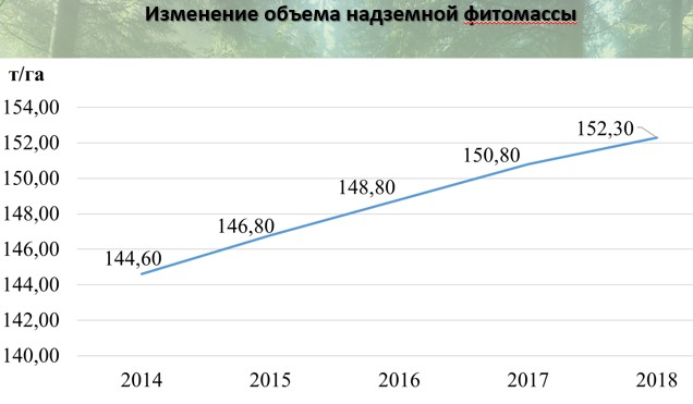 © Из презентации В. Носникова