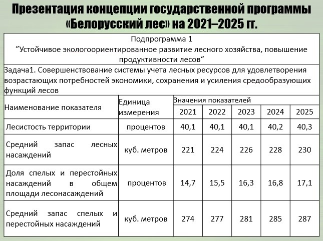 © Из презентации В. Носникова