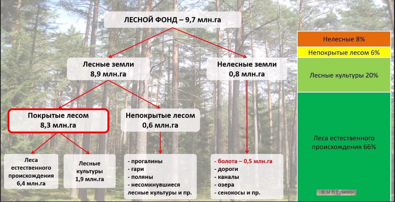 Здесь и далее скриншоты из презентации Максима Ермохина.