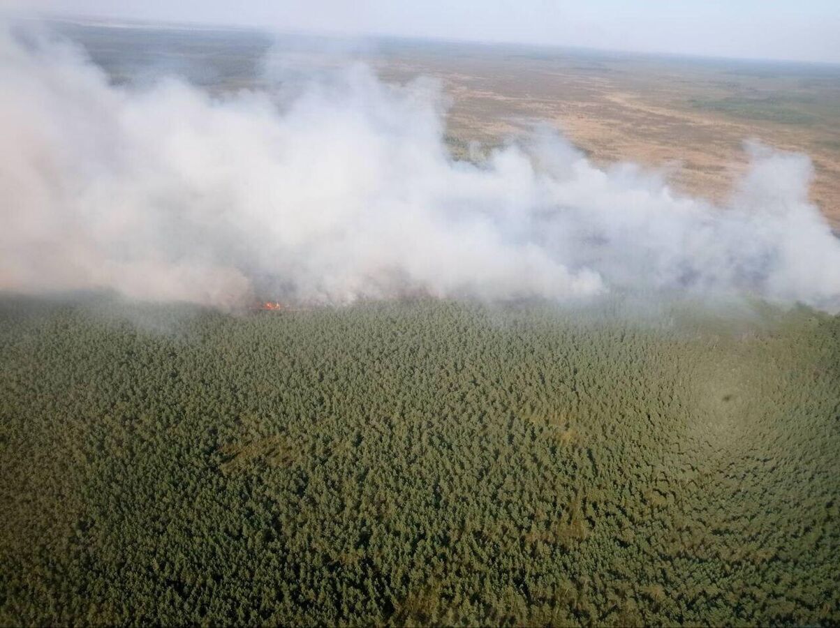 Крупный пожар на Ольманских болотах