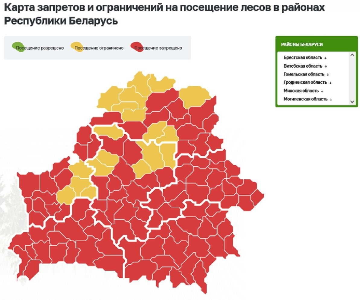 Скриншот интерактивной карты запретов на посещение лесов по состоянию на 11 сентября