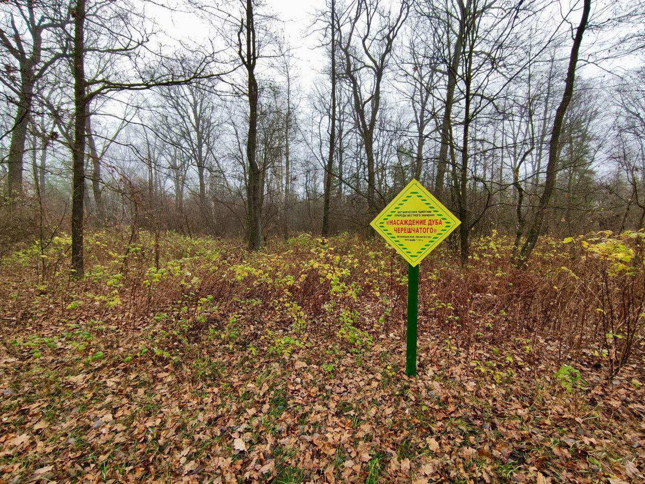 Ботанический памятник природы, особо охраняемая природная территория © forest.land